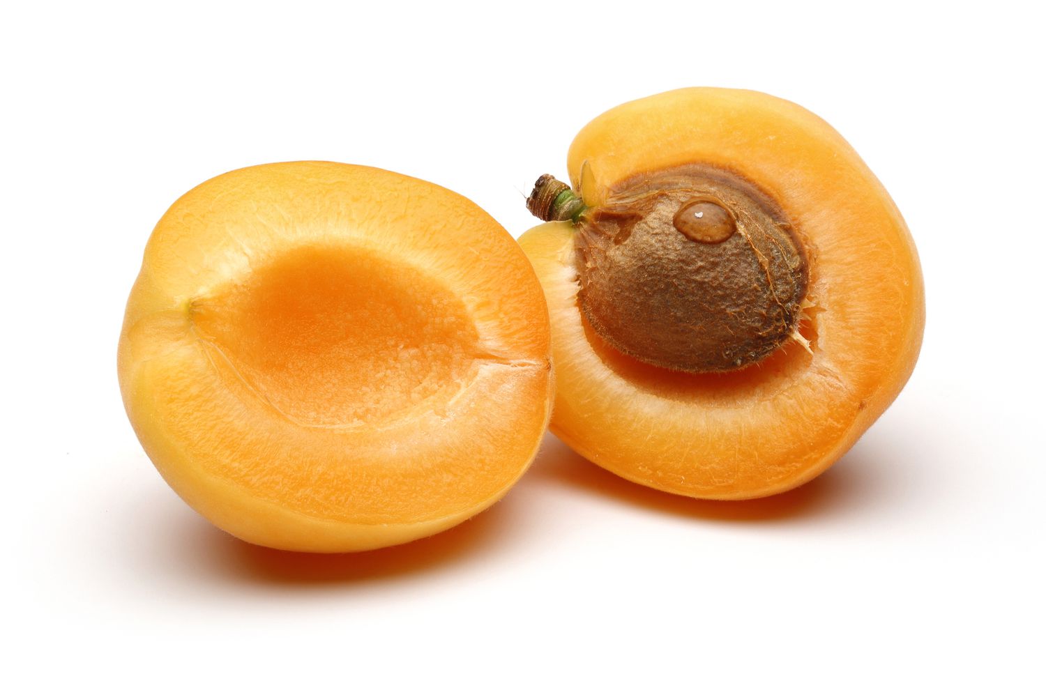 how-to-core-an-apricot