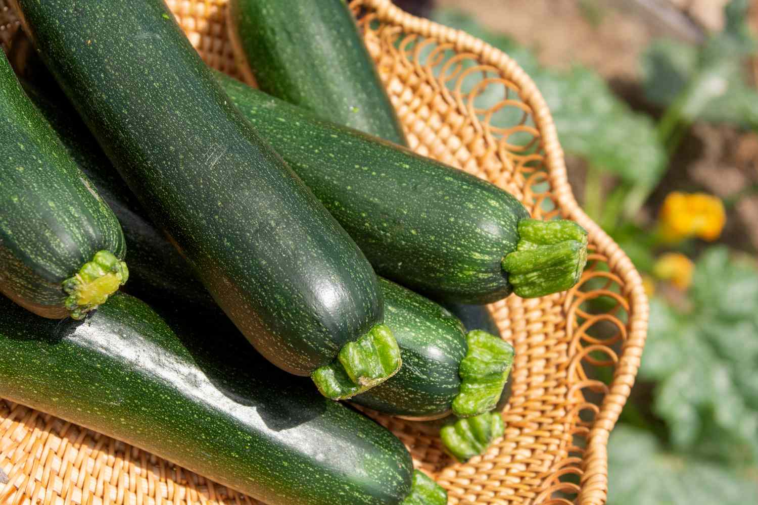 how-to-core-zucchini