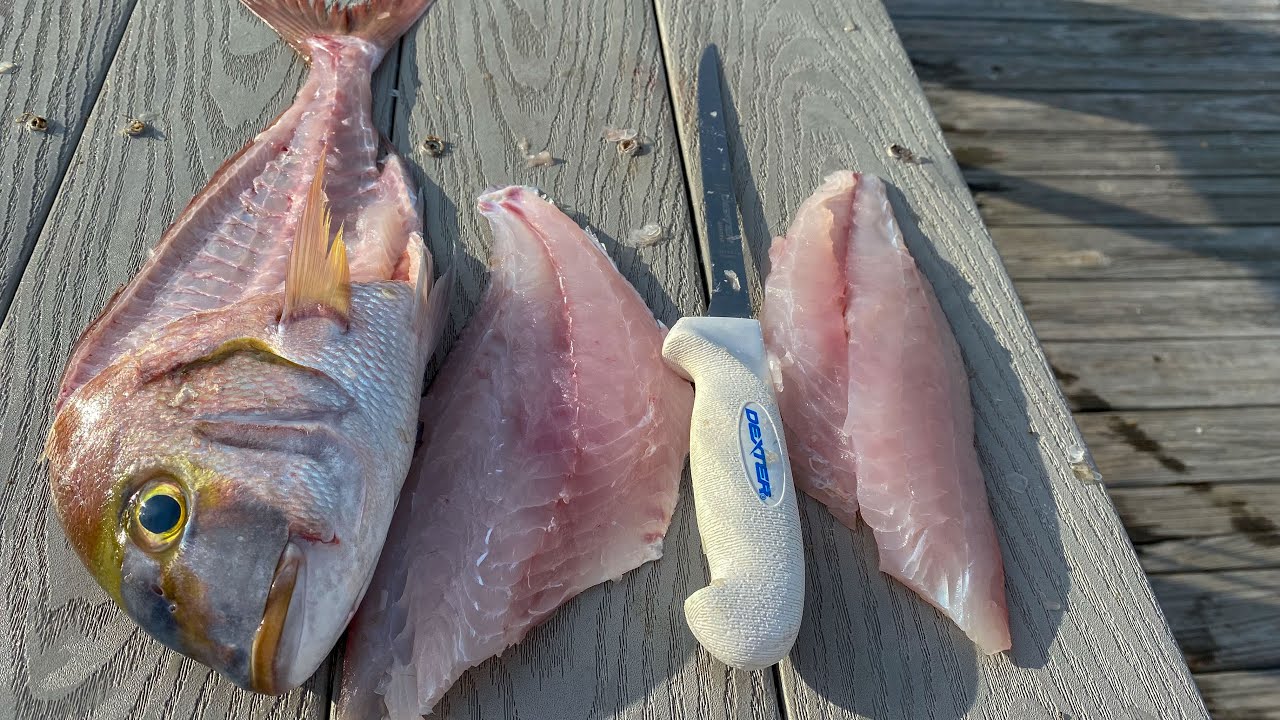 how-to-debone-scup-clean-porgy-fish