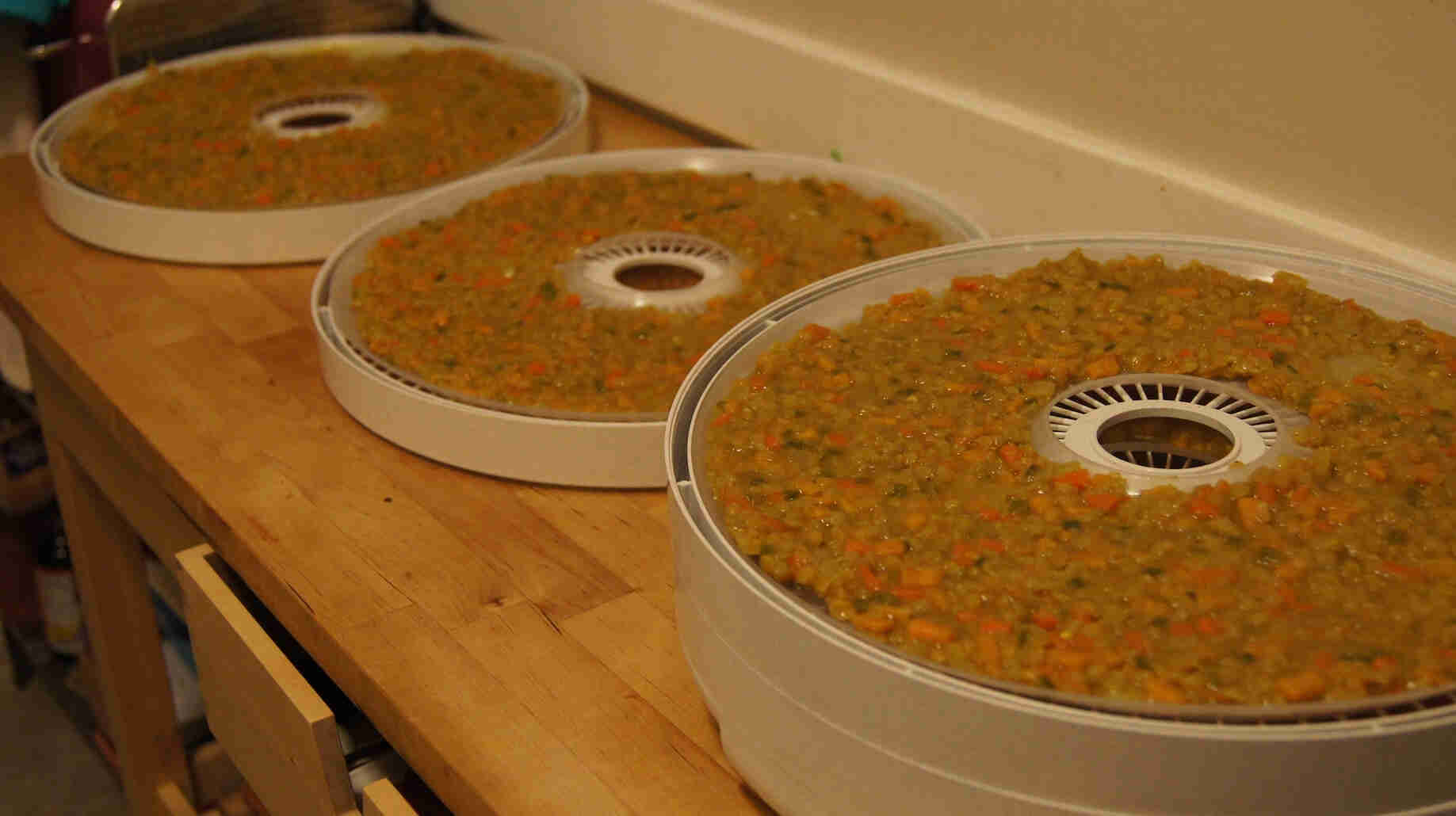 how-to-dehydrate-a-soup