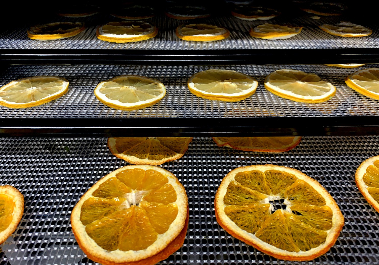 how-to-dehydrate-an-orange