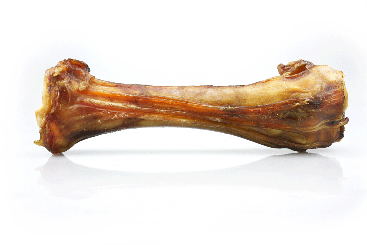 Pork butt bone for 2024 dogs