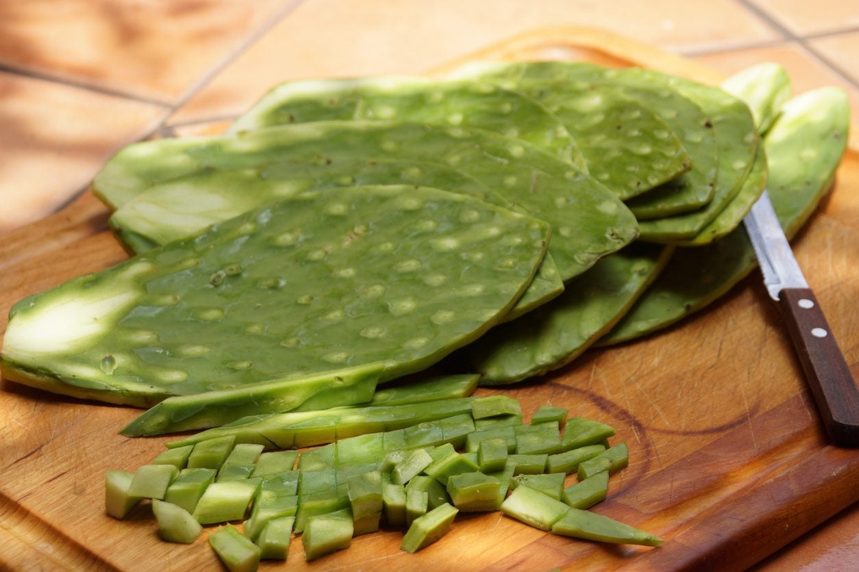 how-to-dehydrate-cactus-leaf