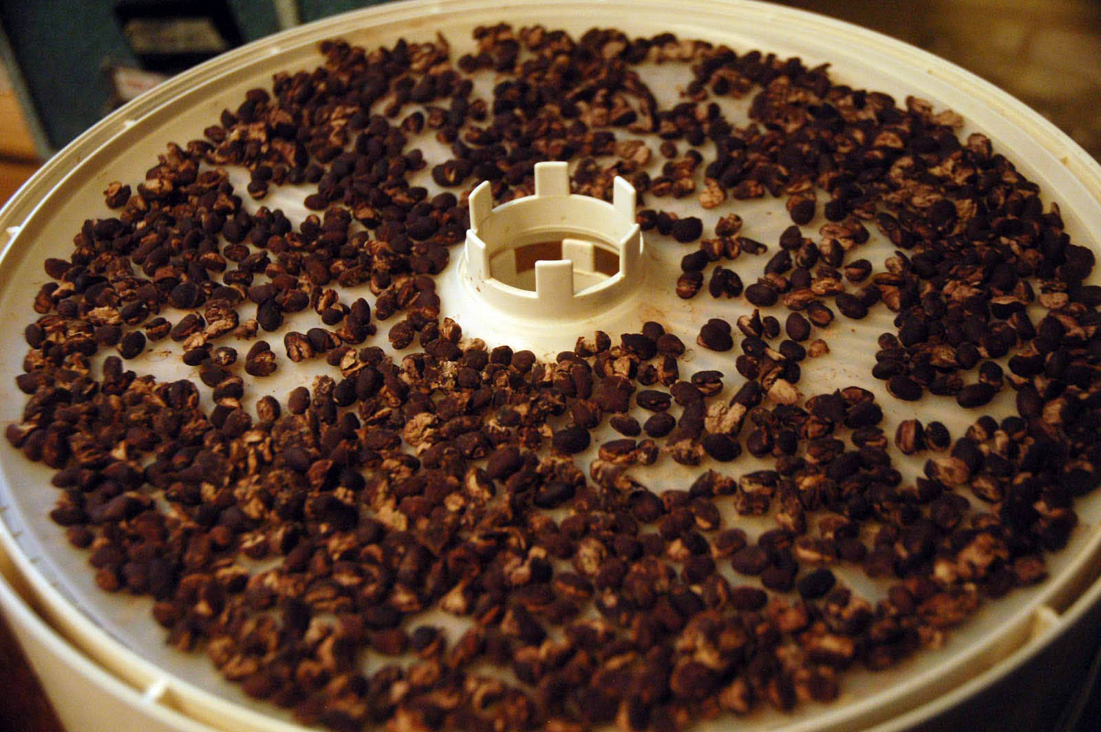 How To Dehydrate Can Beans