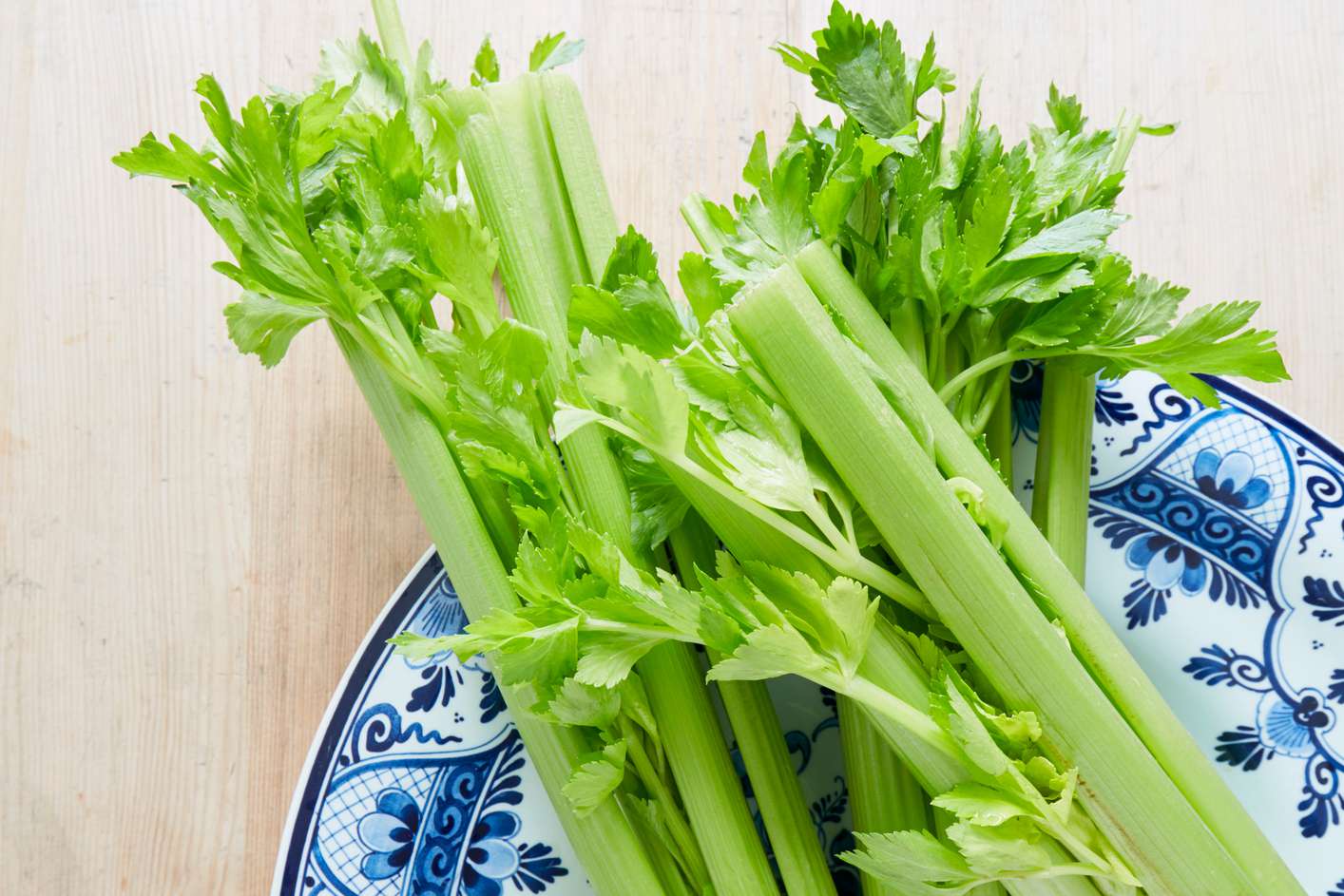 how-to-dehydrate-celery-in-oven