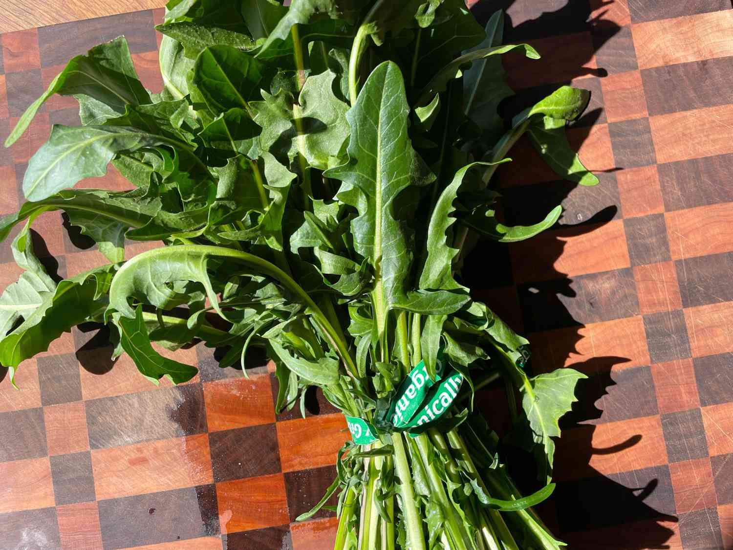 how-to-dehydrate-dandelion-leaves