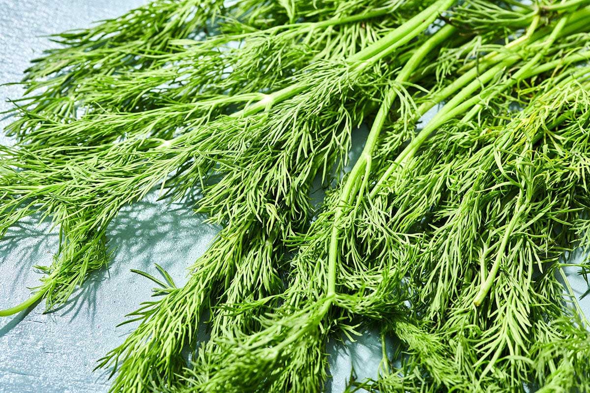 how-to-dehydrate-dill-in-oven