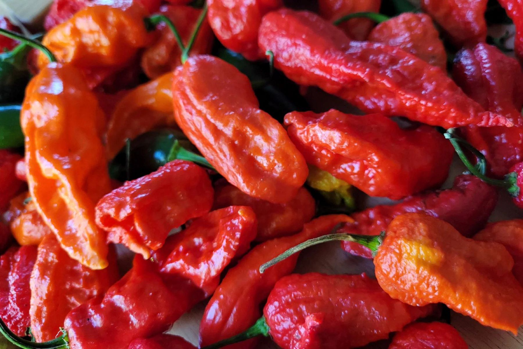 how-to-dehydrate-ghost-peppers-in-the-oven