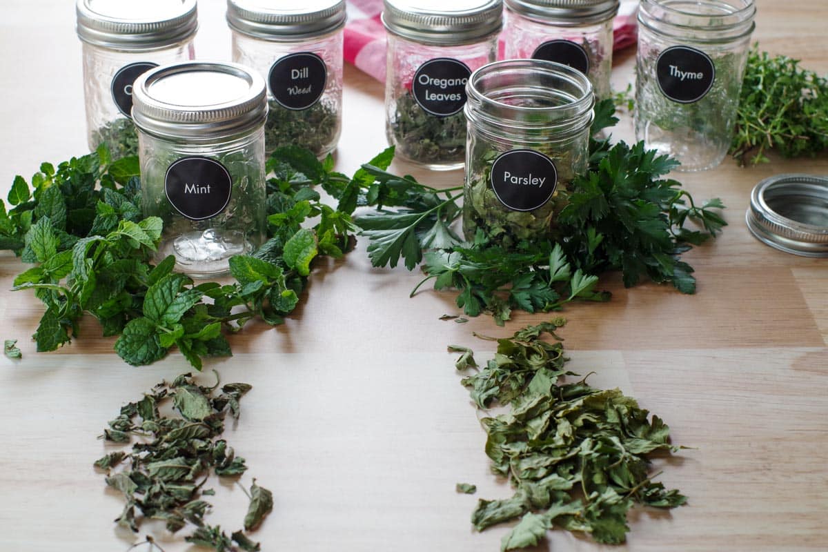 how-to-dehydrate-herbs-in-instant-pot-duo-crisp