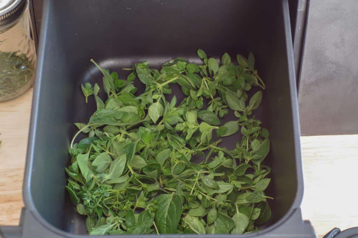 how-to-dehydrate-herbs-in-ninja-air-fryer