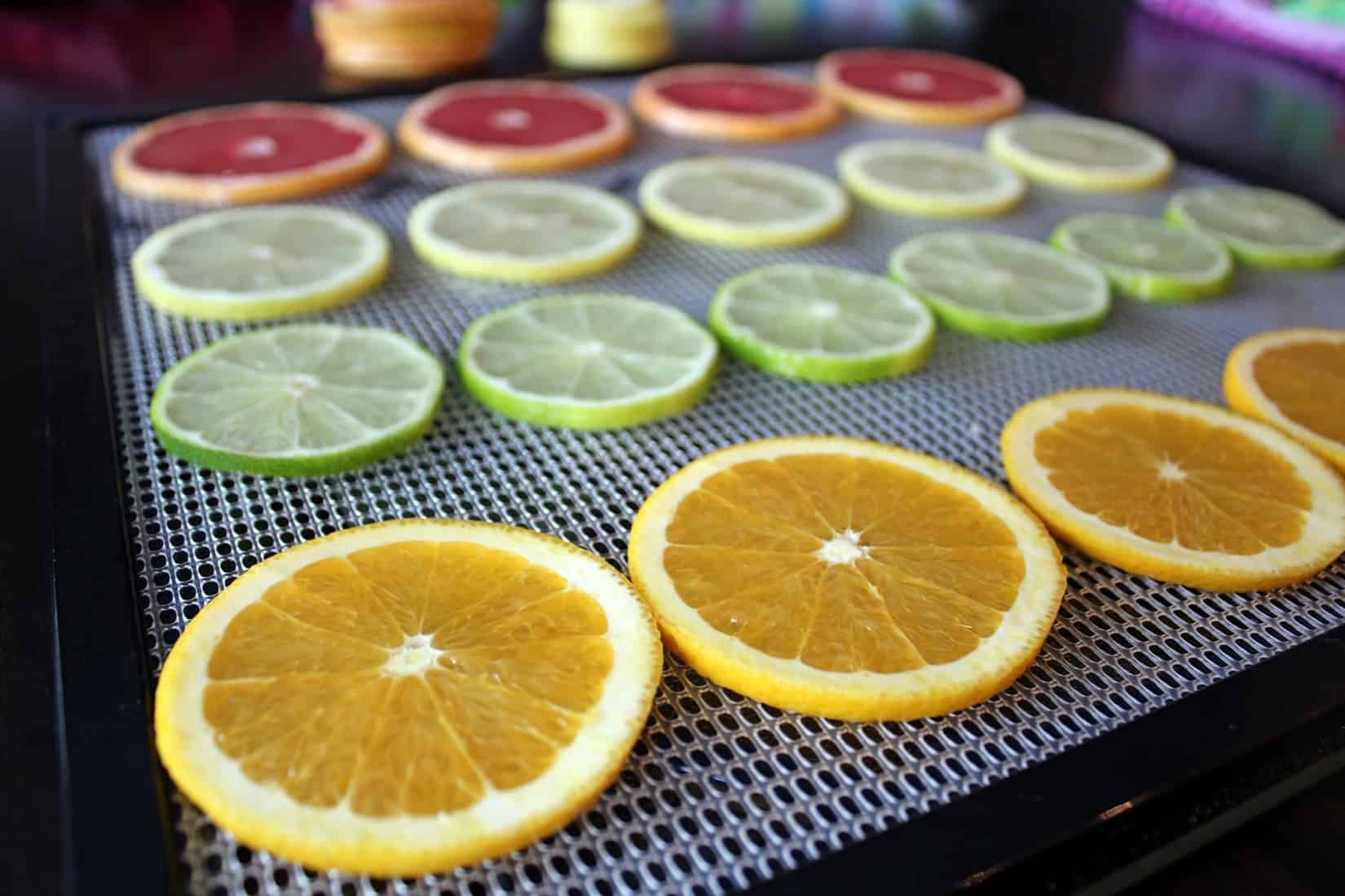 how-to-dehydrate-lemons