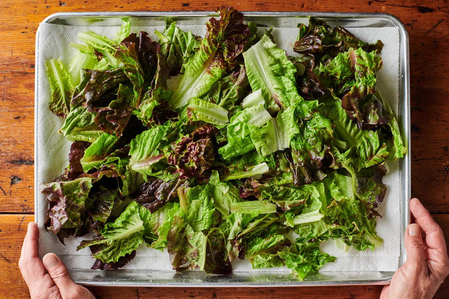 how-to-dehydrate-lettuce