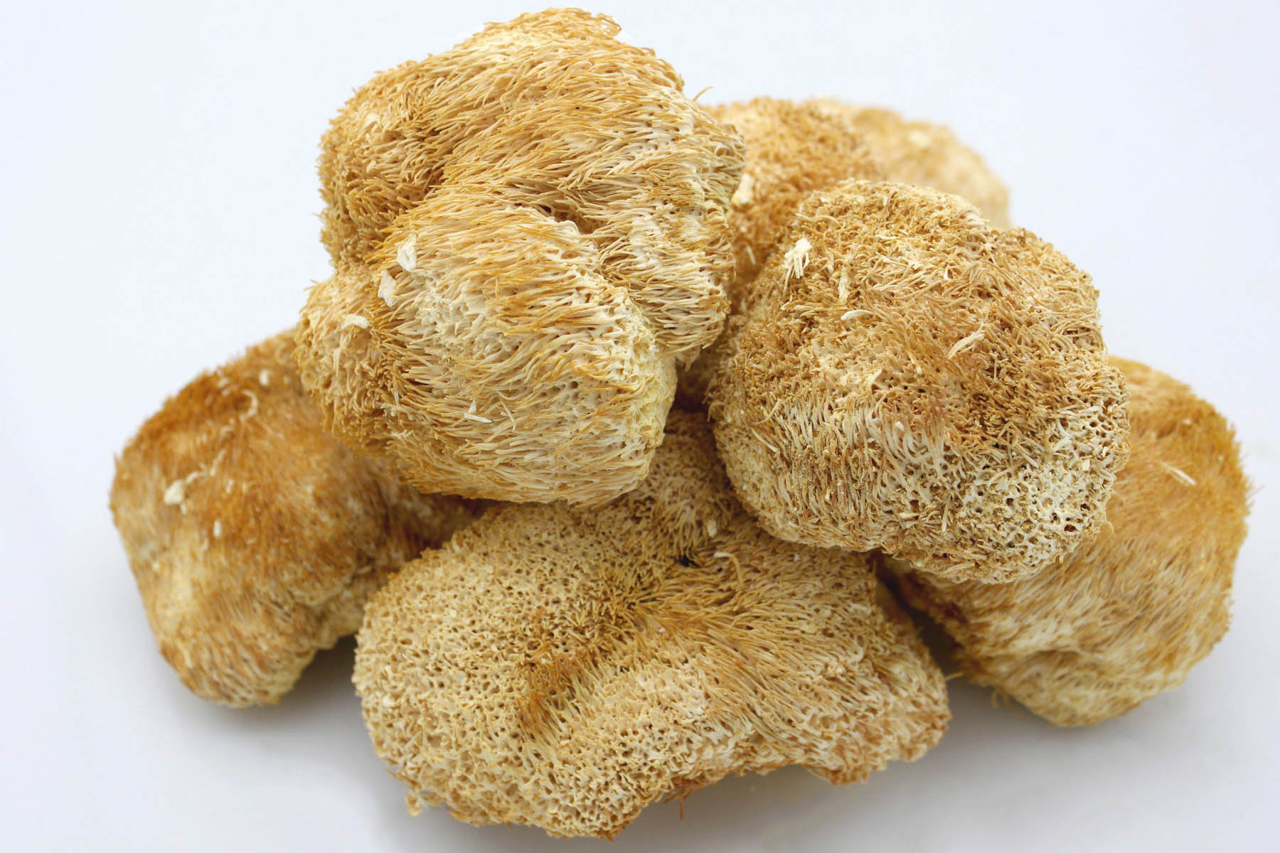 how-to-dehydrate-lions-mane-mushroom