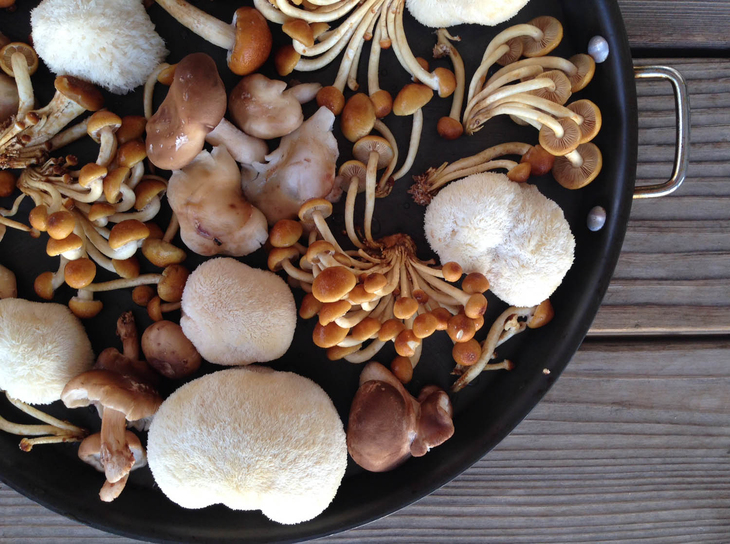 how-to-dehydrate-mushrooms-in-the-oven
