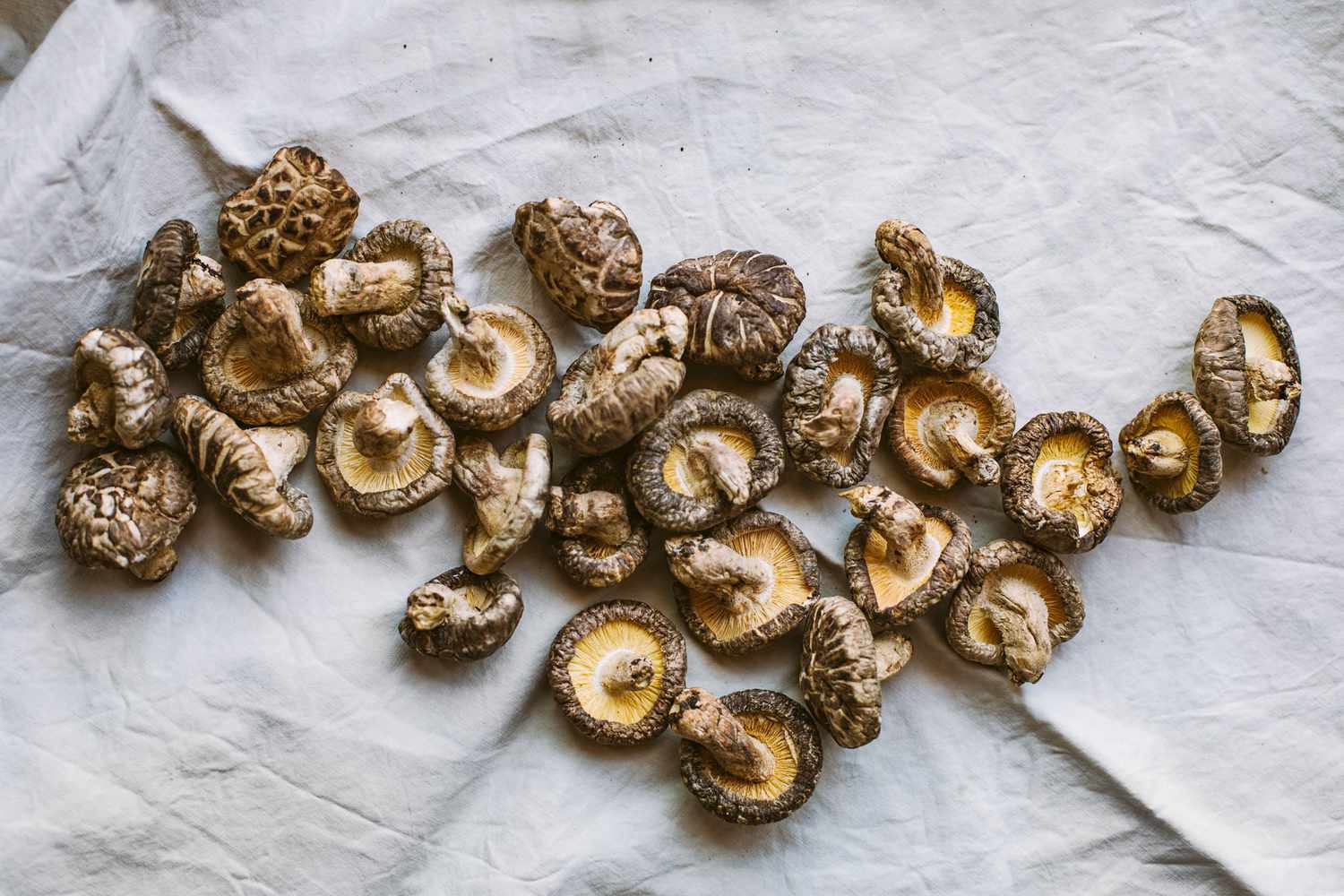 how-to-dehydrate-mushrooms-without-dehydrator