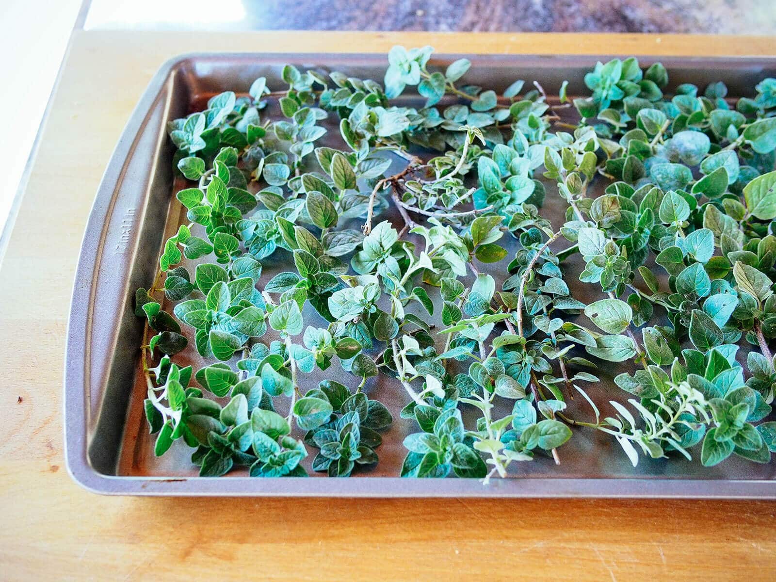 how-to-dehydrate-oregano-in-the-oven