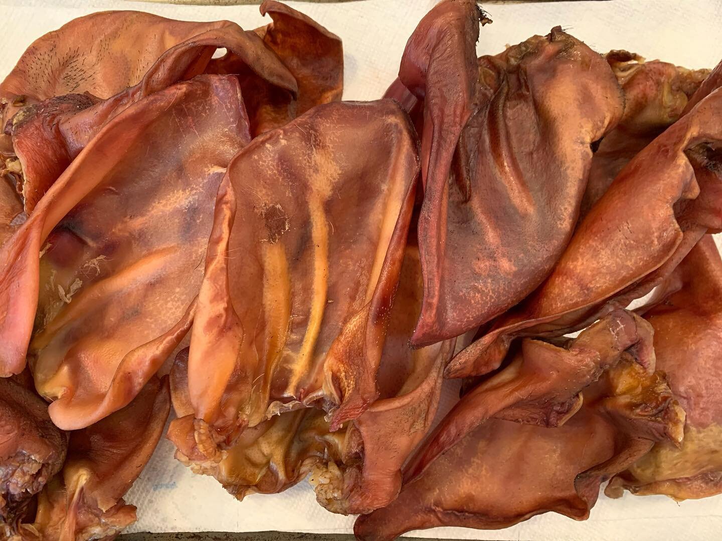 how-to-dehydrate-pig-ears-for-dogs