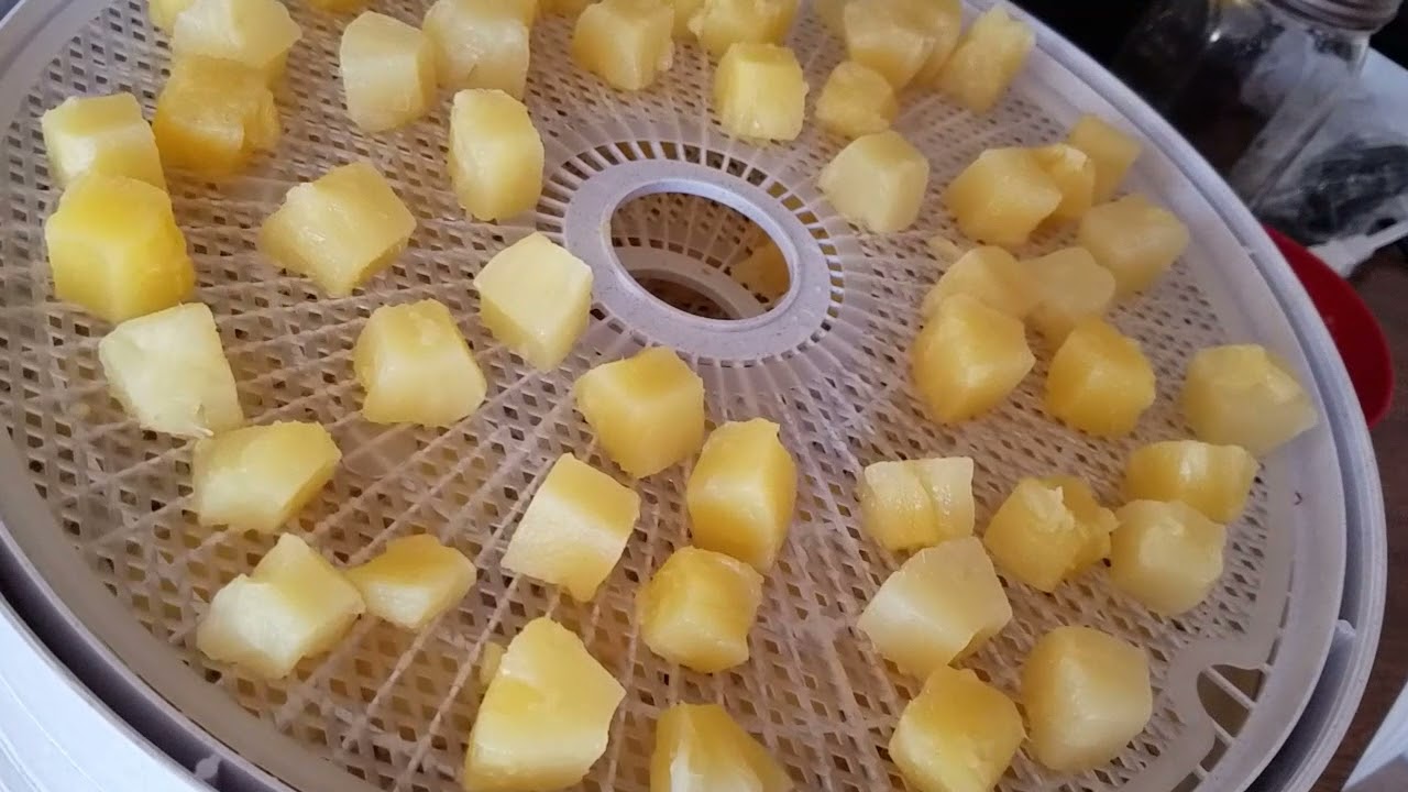 how-to-dehydrate-pineapple-using-a-dehydrator
