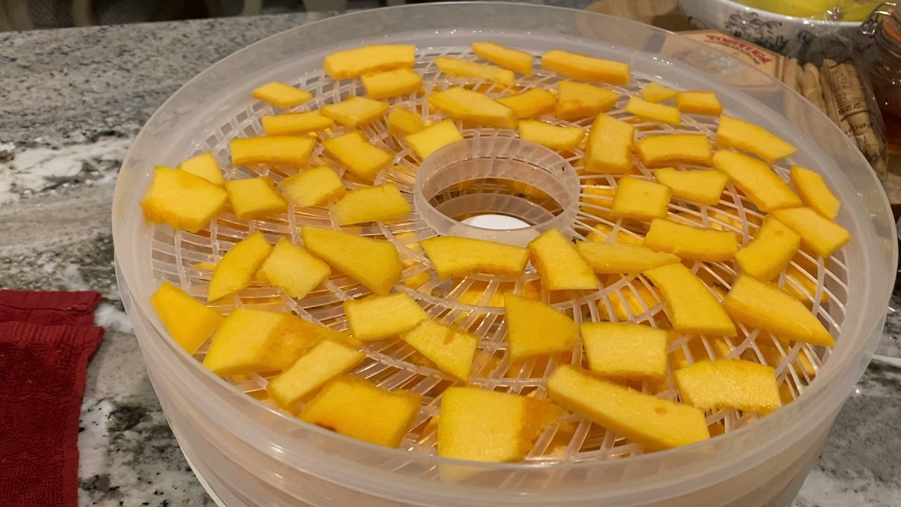 how-to-dehydrate-pumpkin-slices