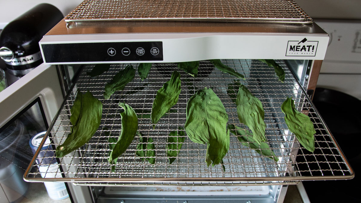how-to-dehydrate-ramps