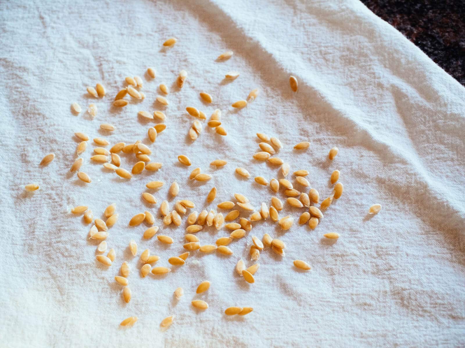 how-to-dehydrate-seeds-for-storing