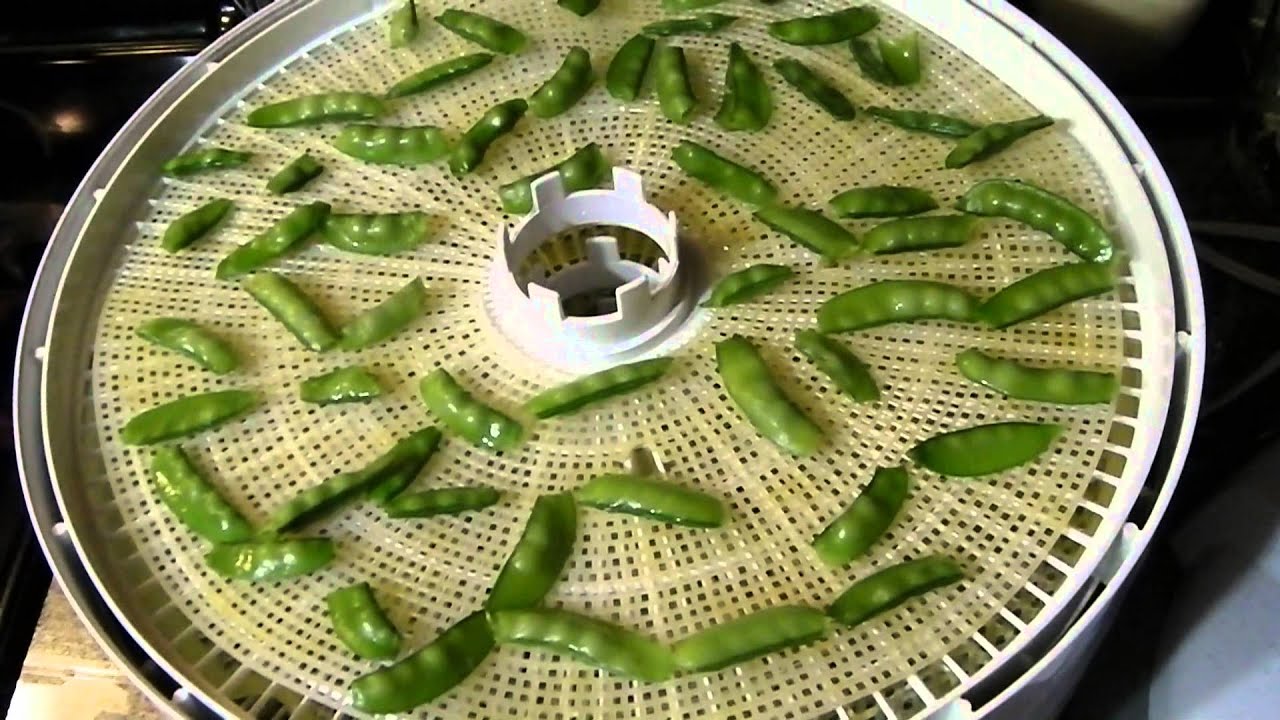 how-to-dehydrate-sugar-snap-peas-in-the-dehydrator