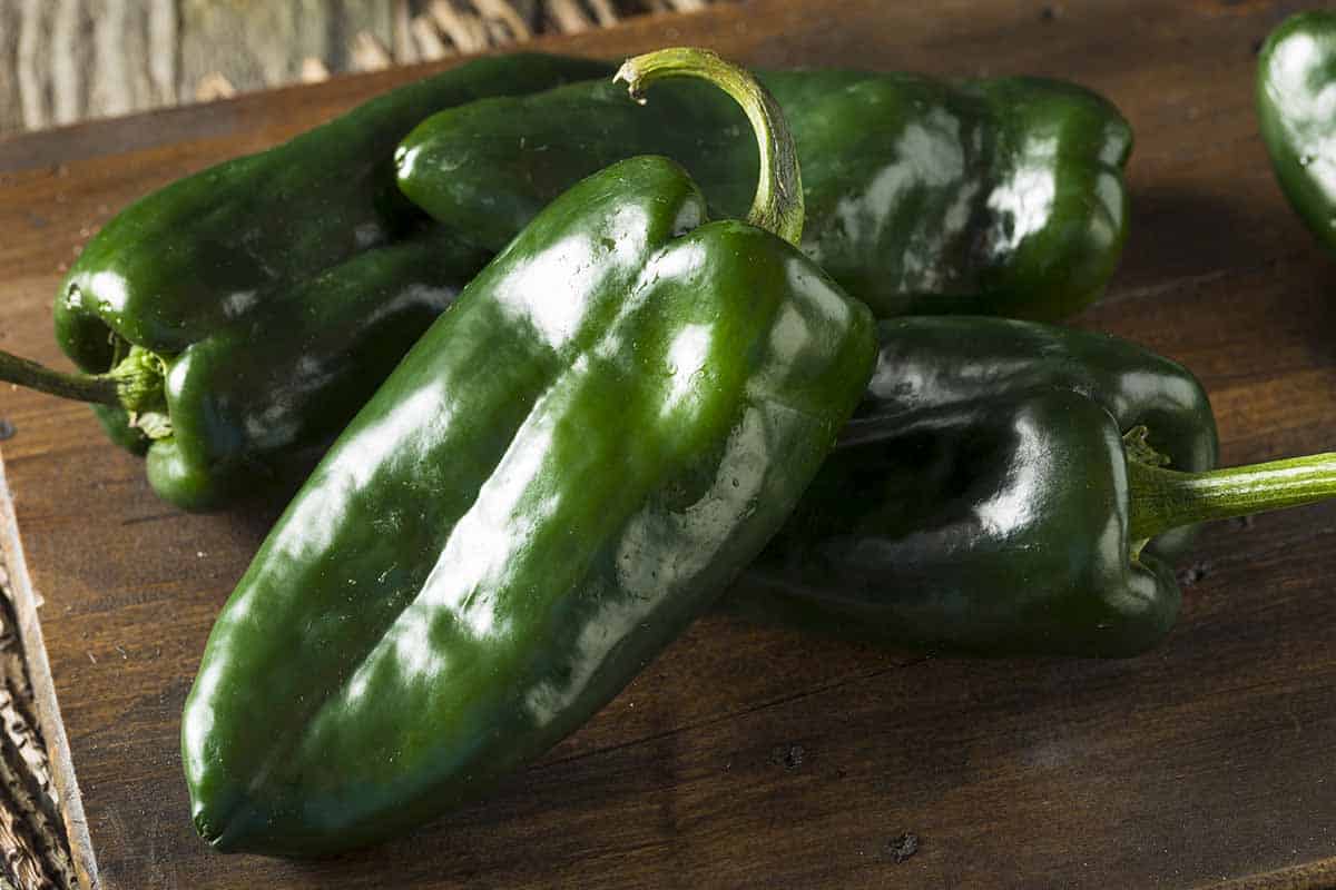 how-to-dice-poblano-pepper