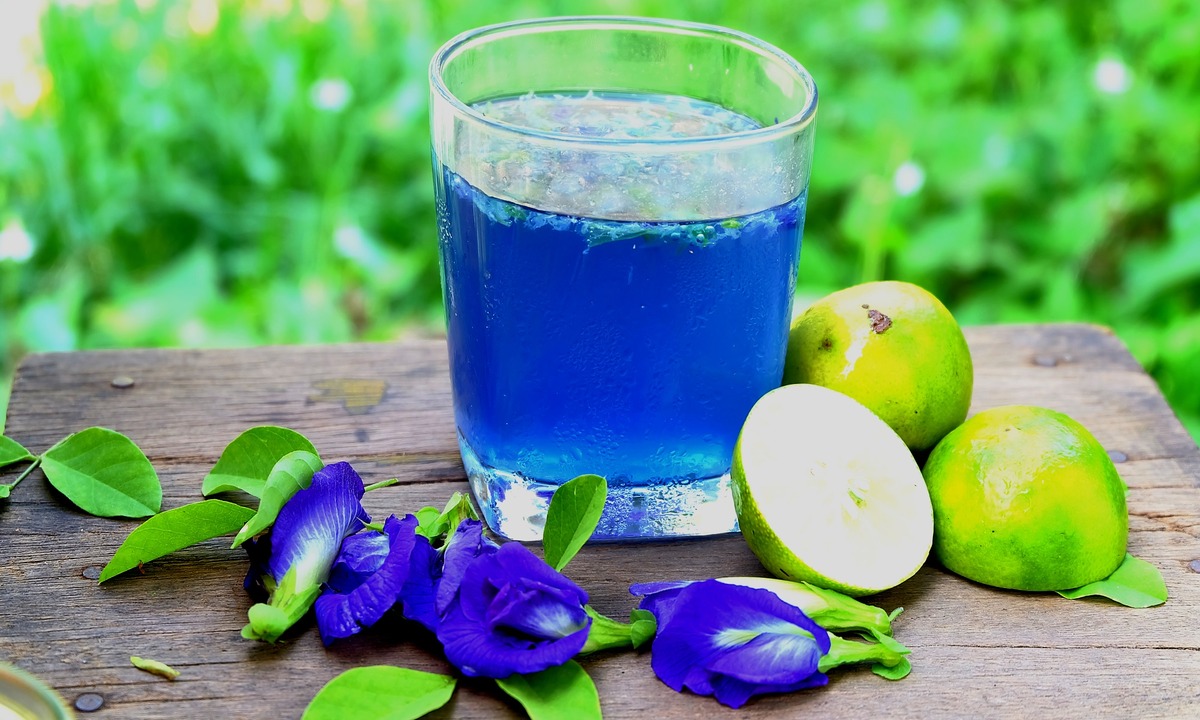 how-to-drink-blue-ternate