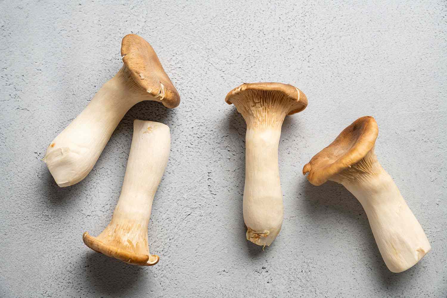 how-to-drink-boiled-shroom-stems