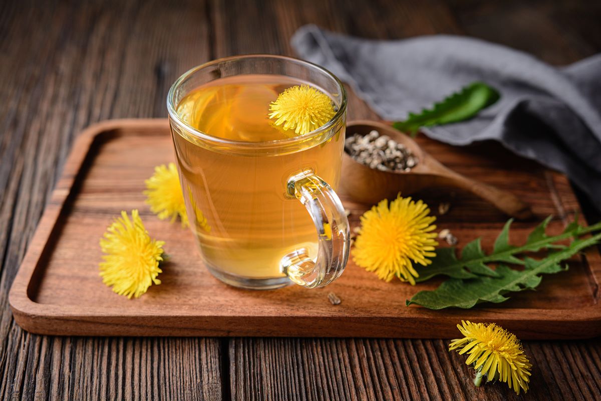 how-to-drink-dandelion-root-tea
