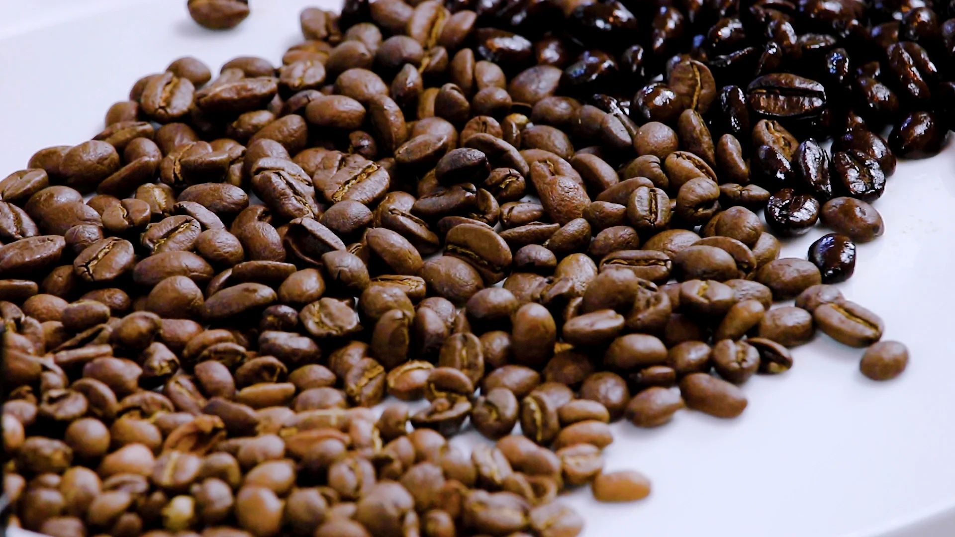 how-to-drink-light-roasted-coffee