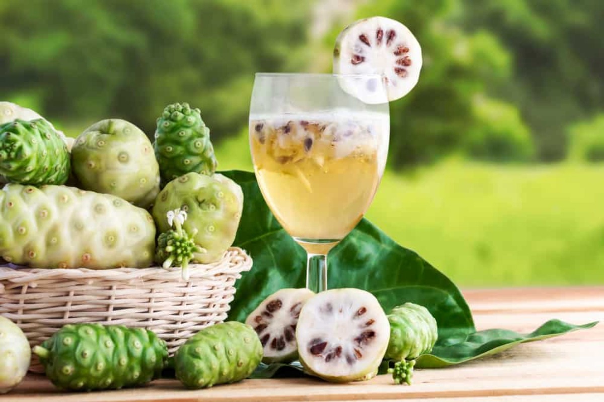 how-to-drink-noni-juice