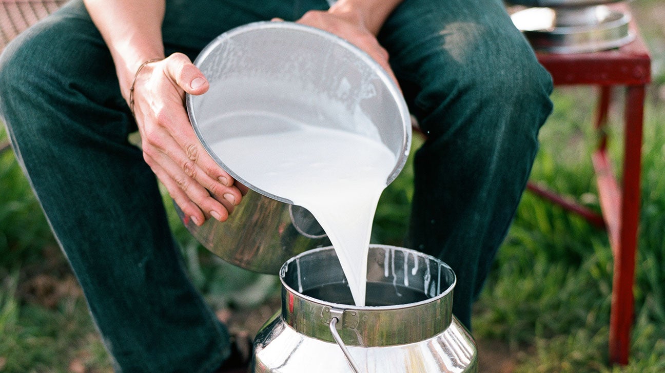 how-to-drink-raw-goat-milk-safely