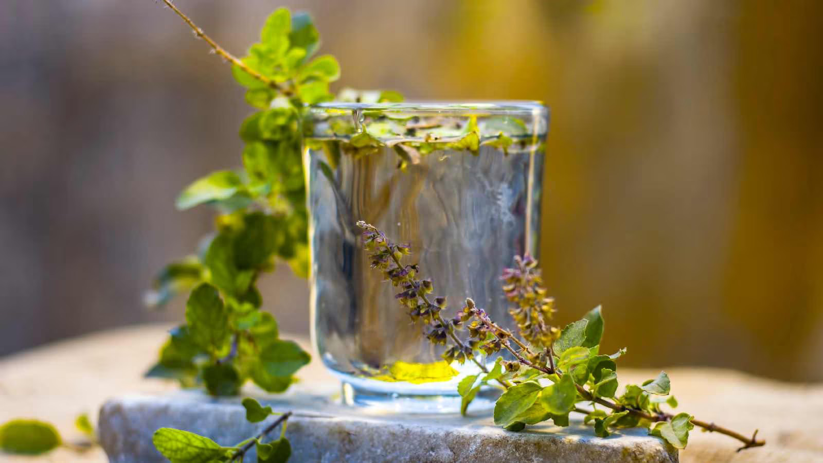 how-to-drink-tulsi-water