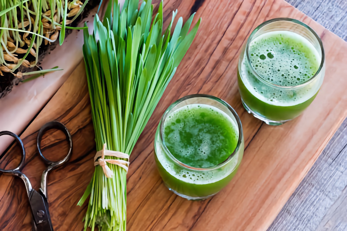 Drinking wheatgrass deals