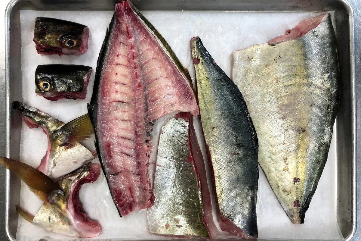 how-to-dry-age-fish