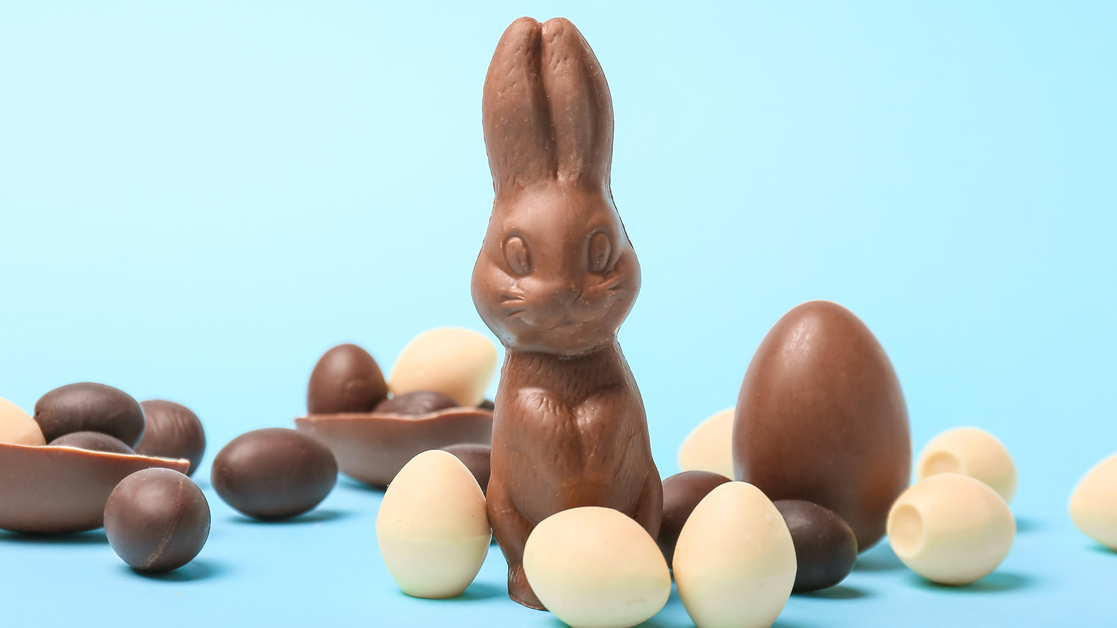 how-to-eat-a-chocolate-bunny