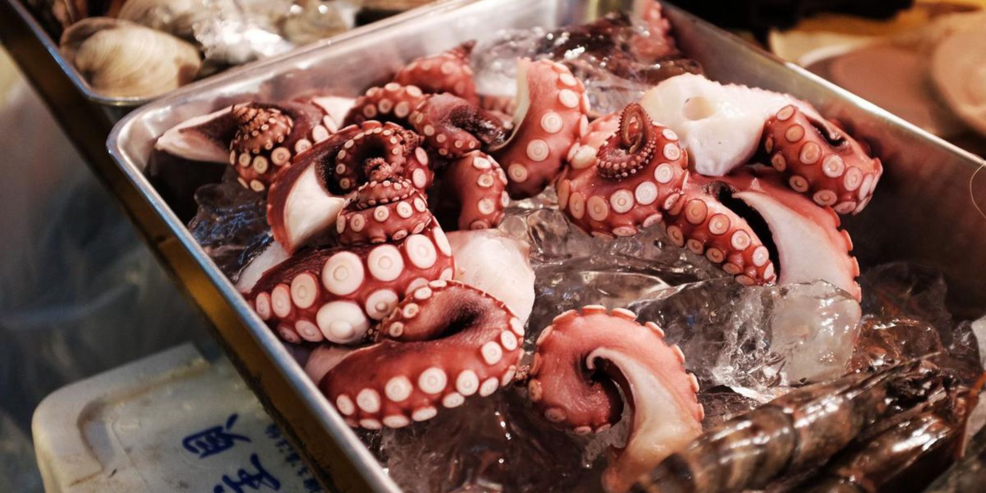 how-to-eat-a-live-octopus