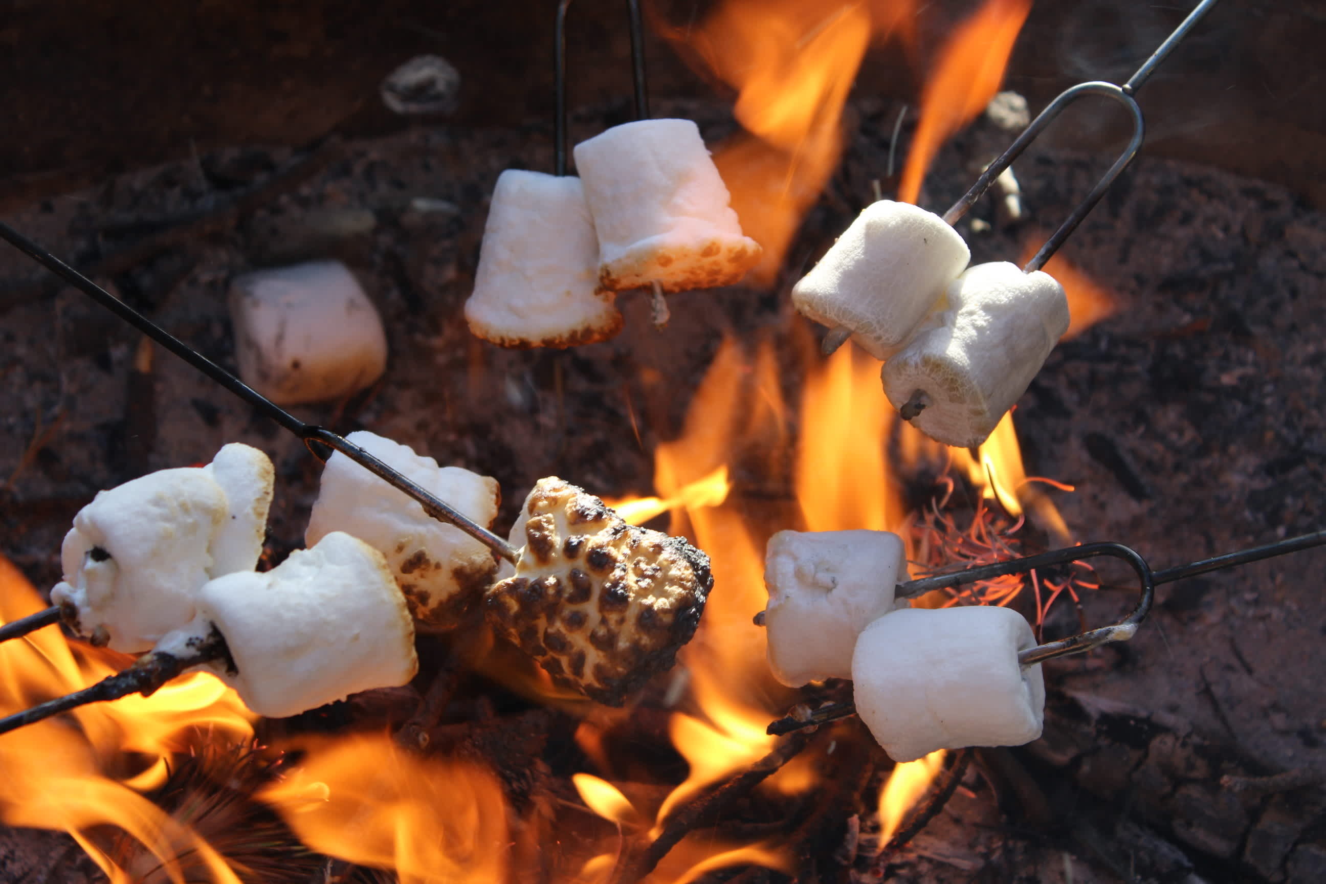 how-to-eat-a-marshmallow-on-fire