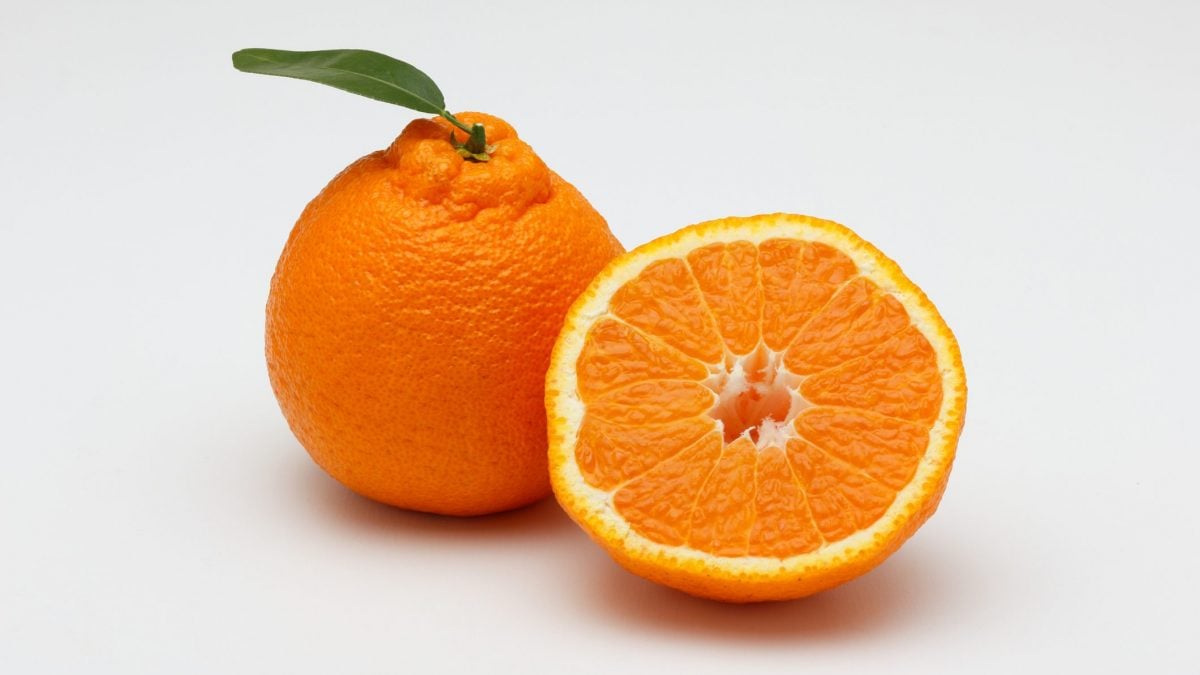 how-to-eat-a-sumo-orange