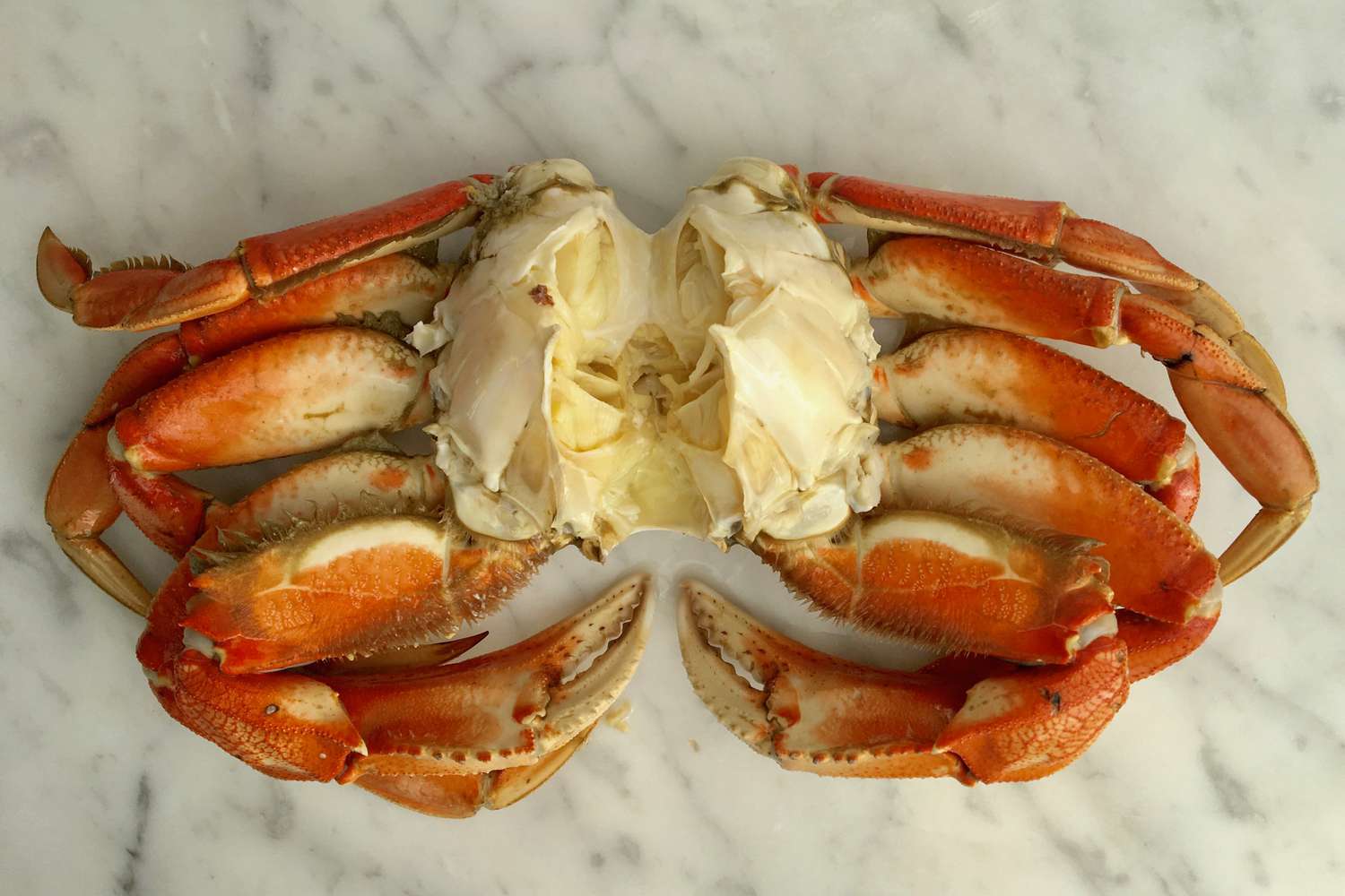 how-to-eat-a-whole-dungeness-crab