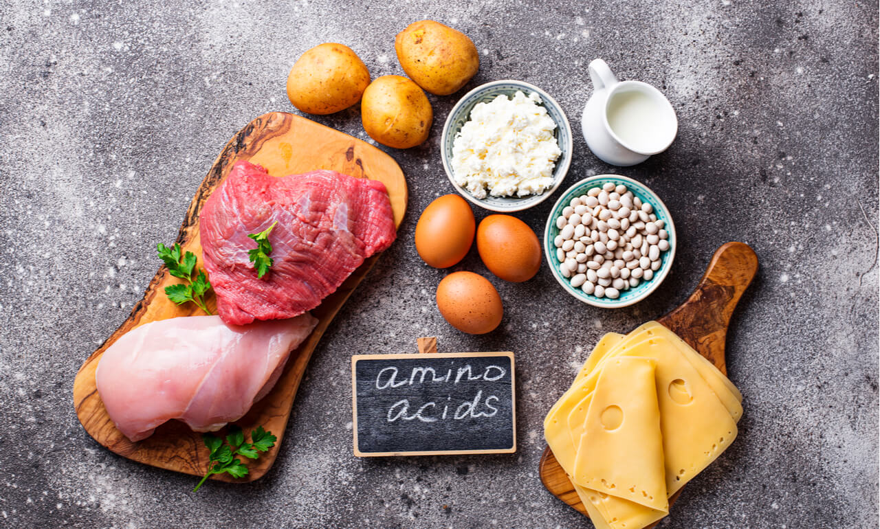how-to-eat-adequate-varieties-of-amino-acids