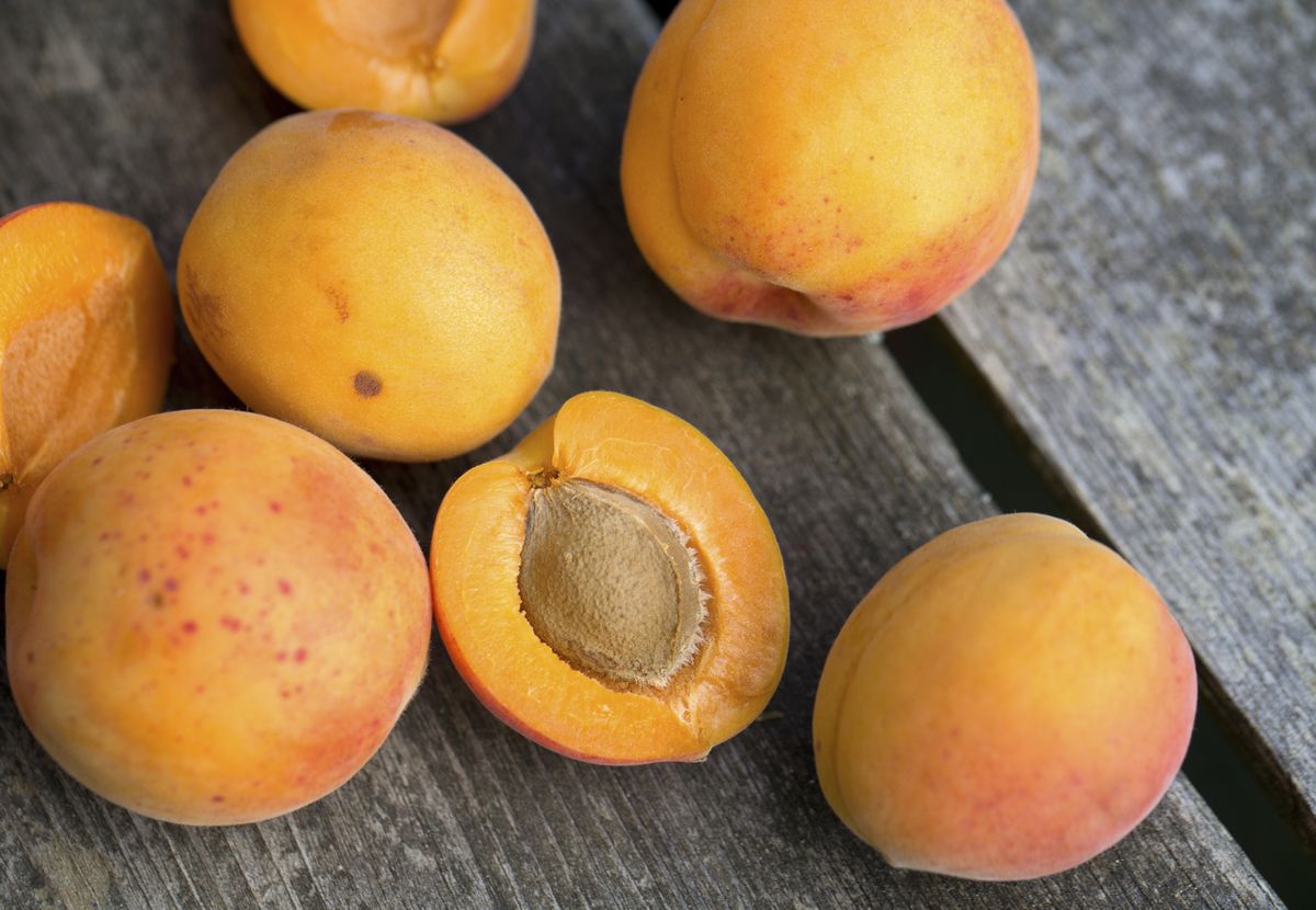 how-to-eat-an-apricot