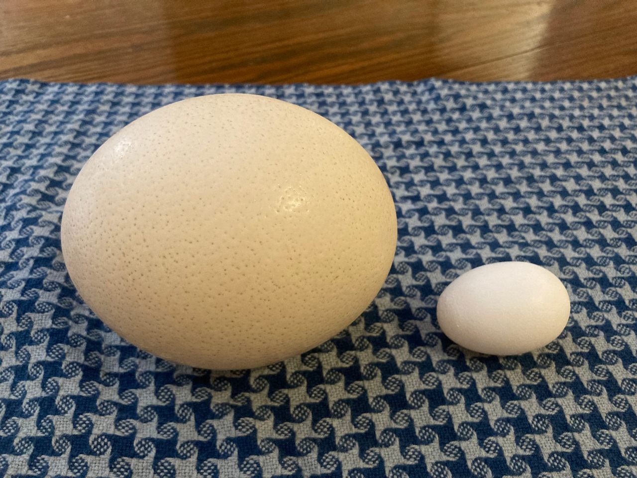how-to-eat-an-ostrich-egg