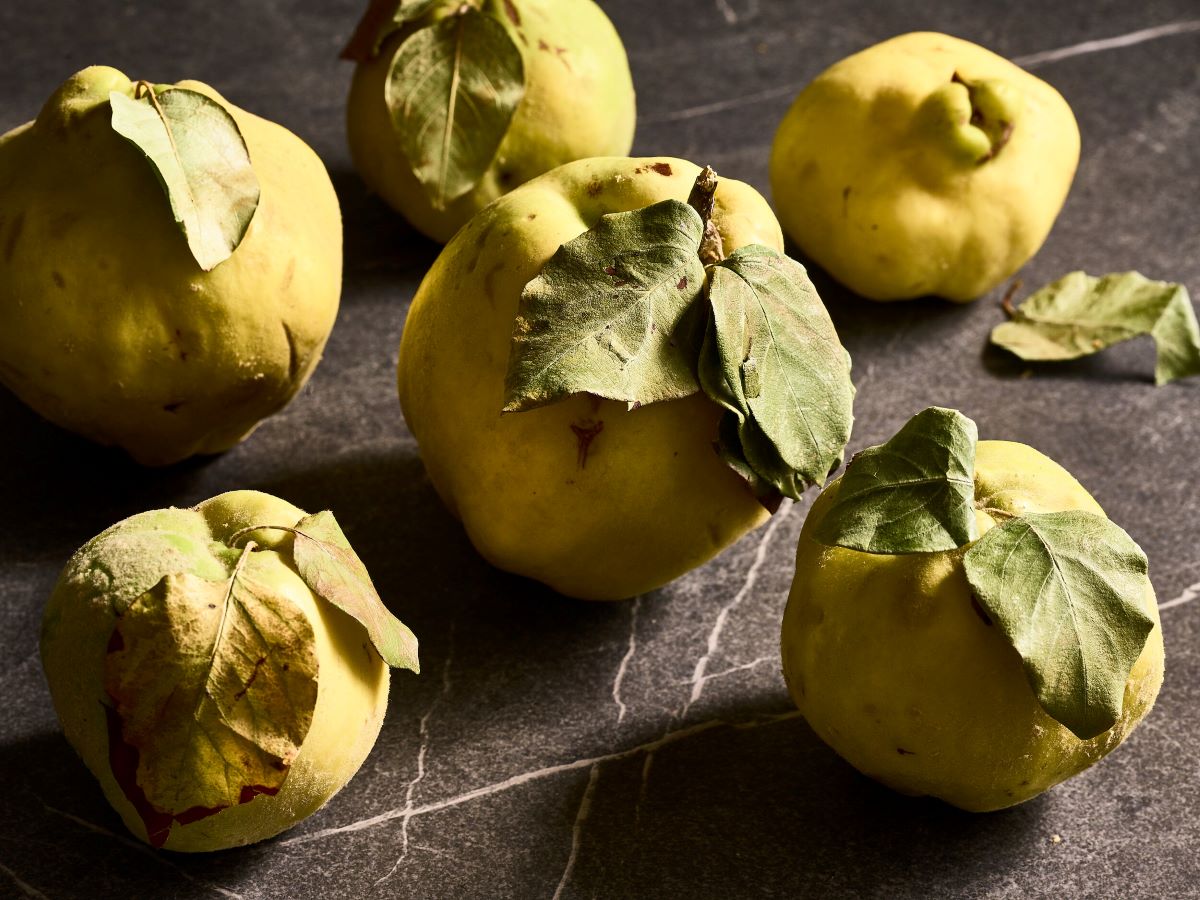 how-to-eat-an-unripe-quince