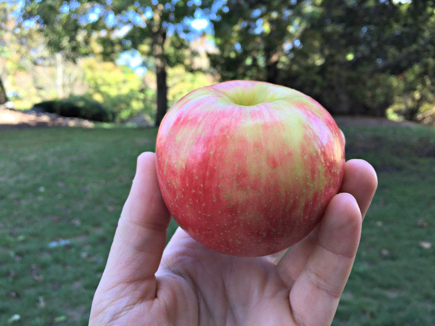 how-to-eat-apples-on-the-trail