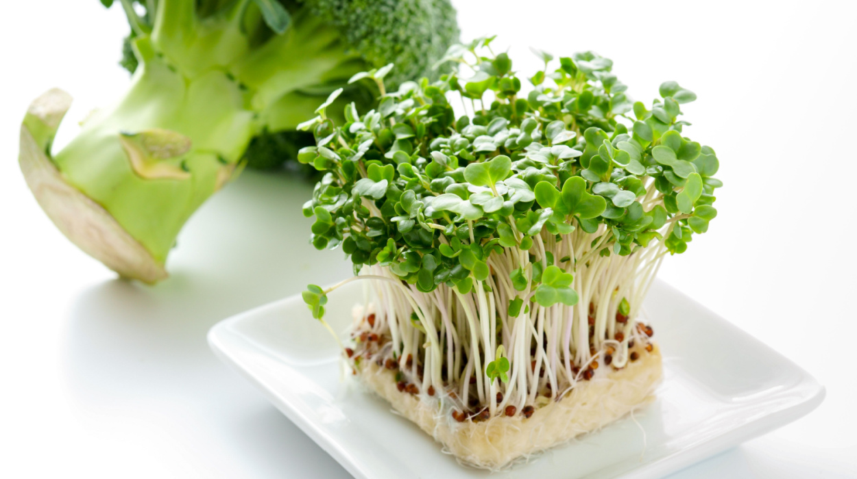 how-to-eat-broccoli-sprouts