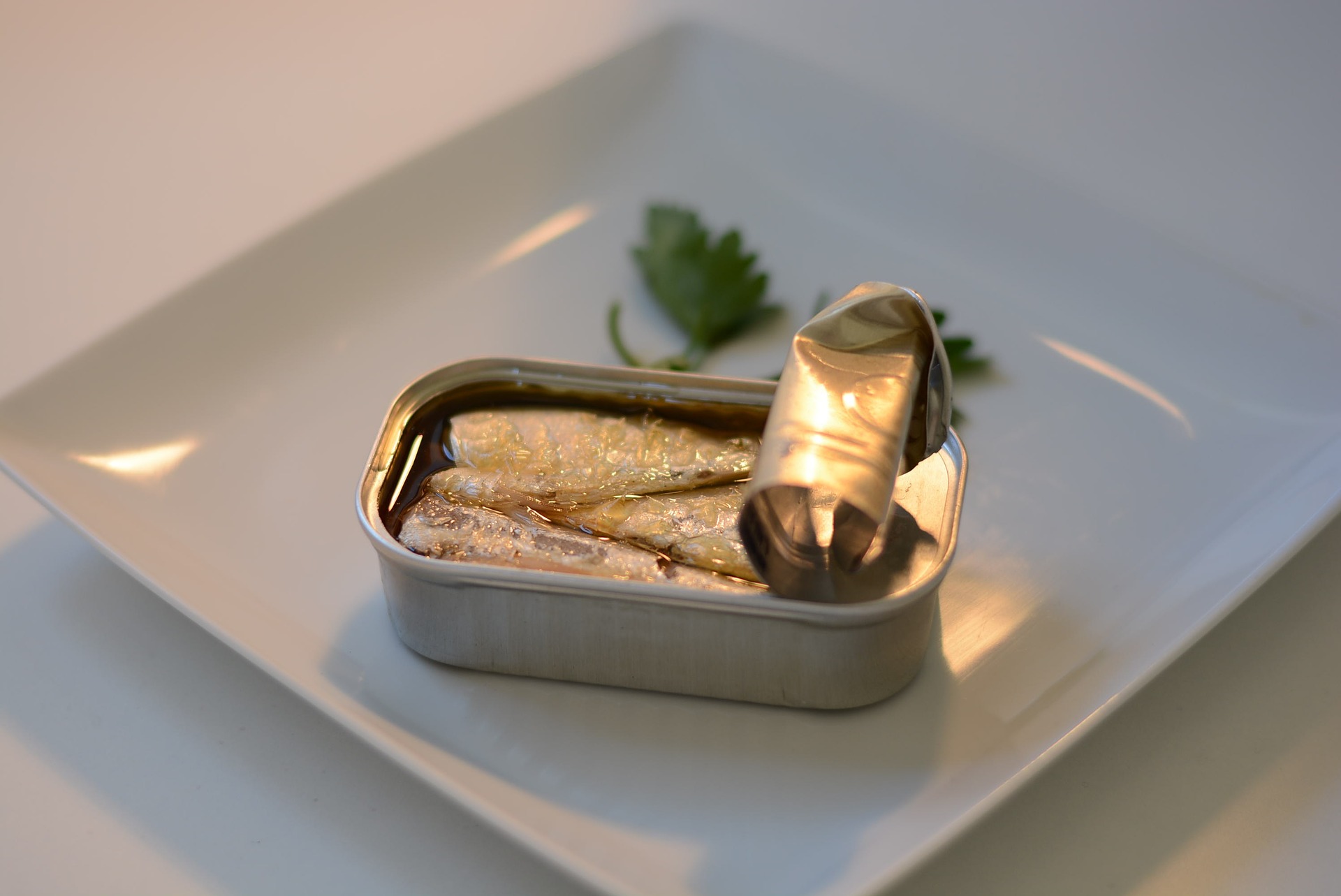 how-to-eat-canned-sardines-during-pregnancy