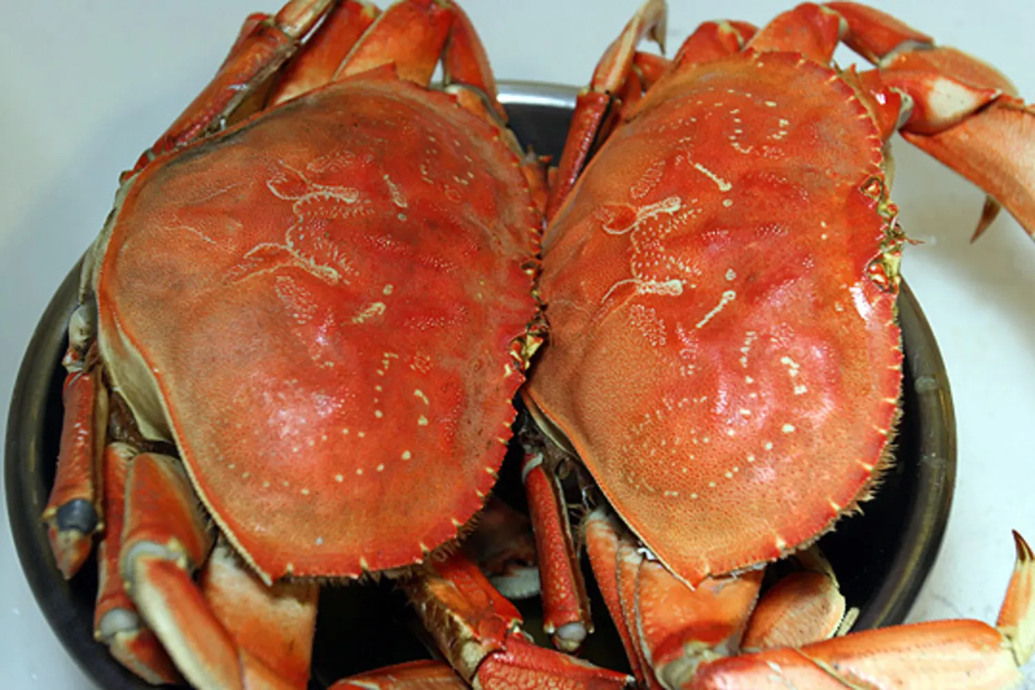 how-to-eat-cooked-dungeness-crab