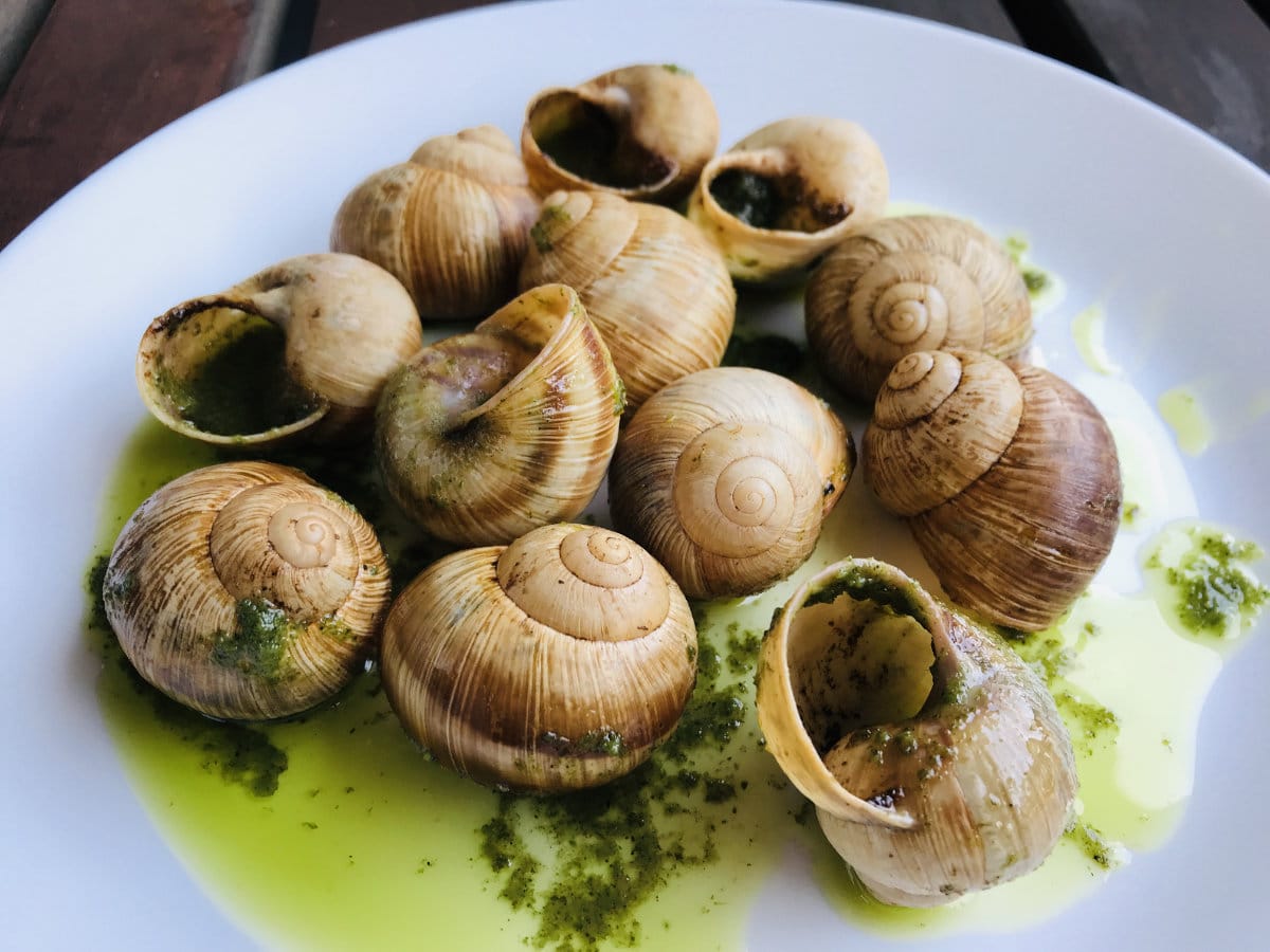 how-to-eat-escargot-in-the-shell